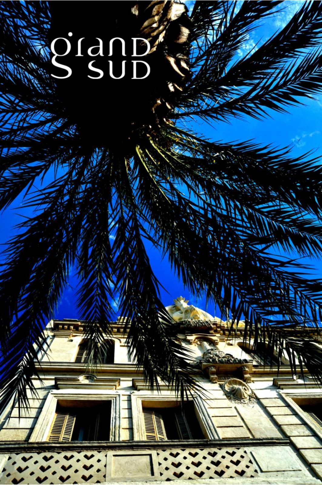 Le Studio de la Lagune Le Grau-du-Roi Exterior foto